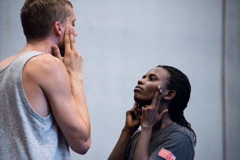 simon fleury ballets c de la b lisi estaras