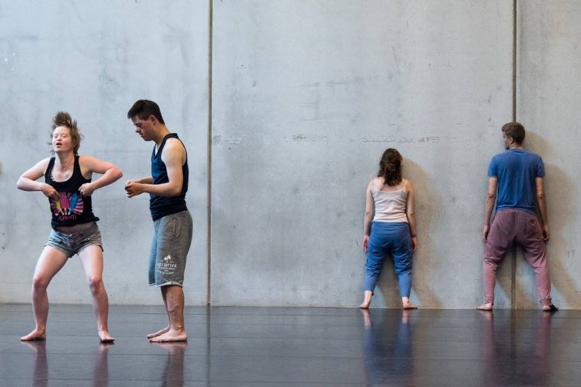 simon fleury ballets c de la b lisi estaras monkey mind