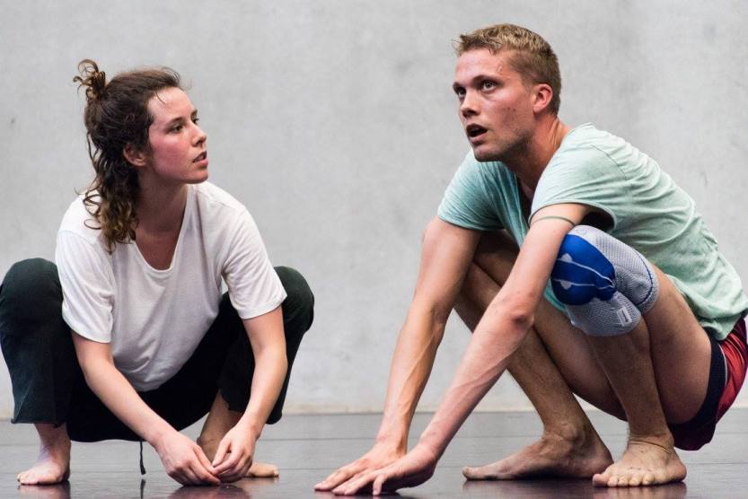 simon fleury ballets c de la b lisi estaras monkey mind