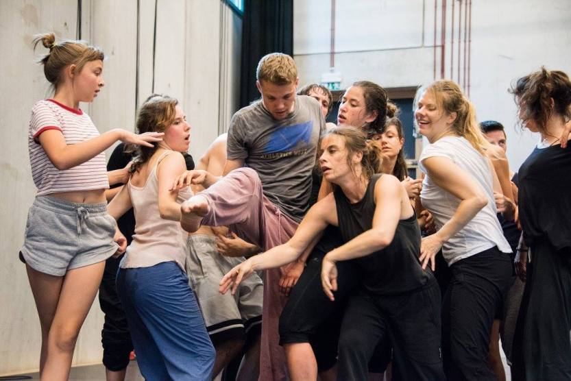 simon fleury ballets c de la b lisi estaras monkey mind