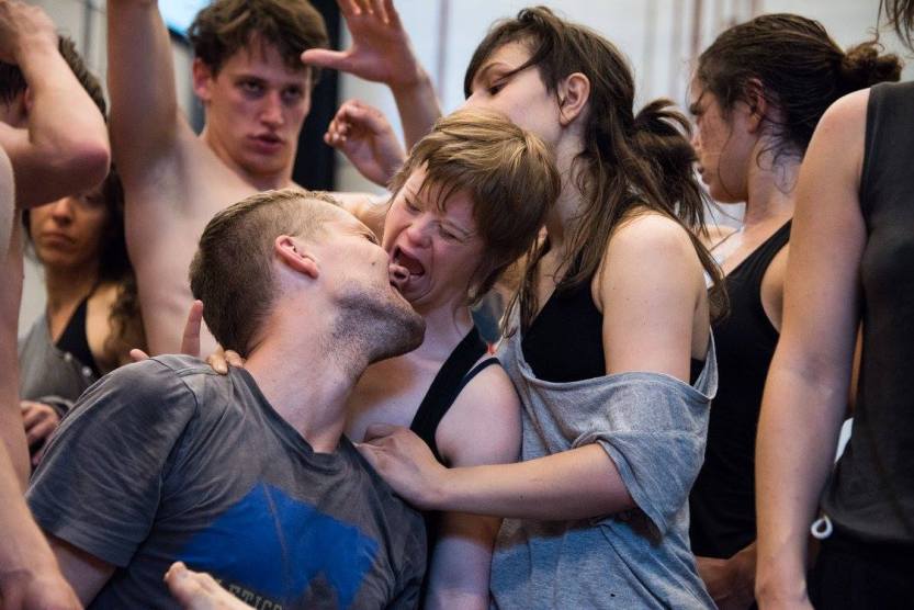 simon fleury ballets c de la b lisi estaras monkey mind