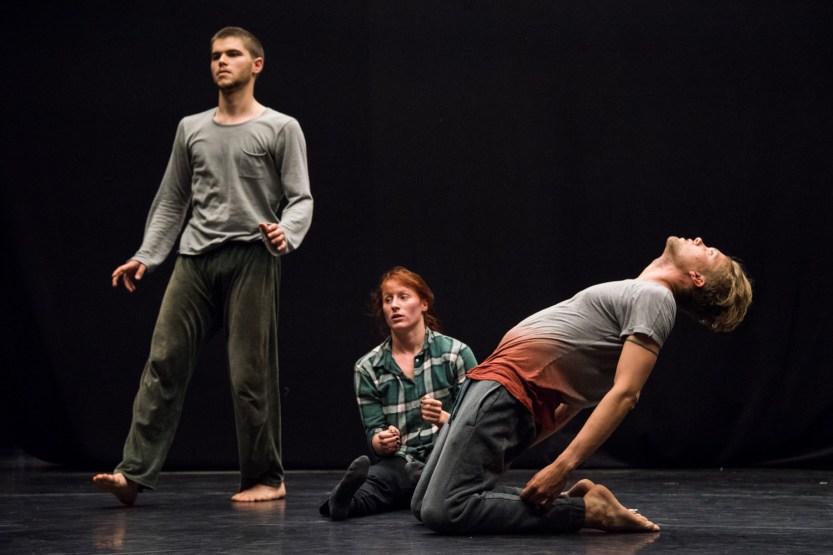 simon fleury ballets c de la b nicolas vladislav