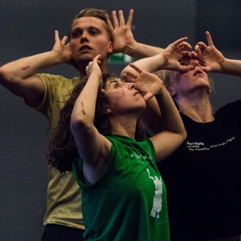 simon fleury ballets c de la b nicolas vladislav